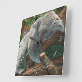 Horloge Carrée Koala (Angle)