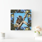 Horloge Carrée Koala Dans L'Ancien Pin Arbre Encadré De Lorikeet, (Maison)