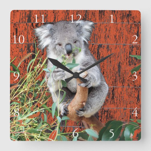 Horloge Carrée Koala Snack Time Clock (Recto)