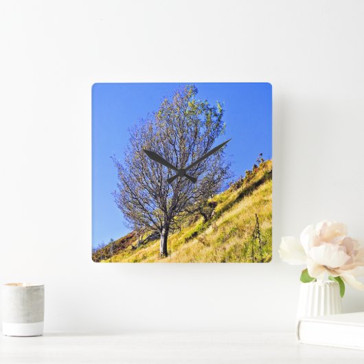 HORLOGE CARRÉE L0NE TREE (Maison)