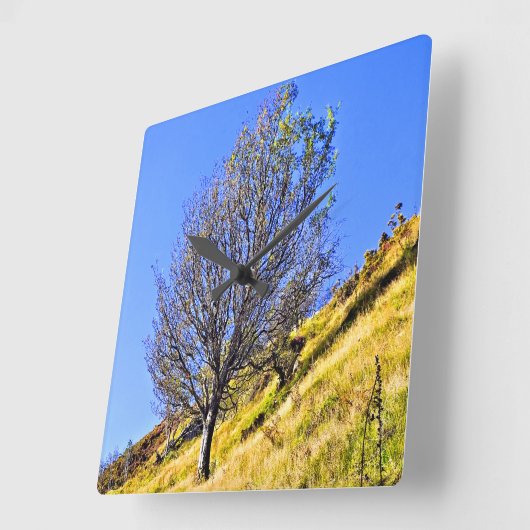 HORLOGE CARRÉE L0NE TREE (Angle)