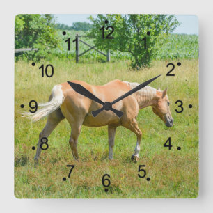 Horloge Carrée La belle campagne hippique de Palomino