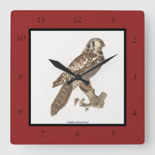 Horloge Carrée La Chouette du Nord (Surnia ulula) Image d'oiseau