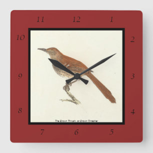 Horloge Carrée La Grive Brown ou le Trasher Brown, New York Birds