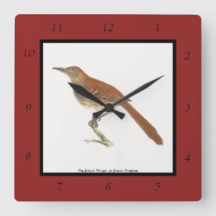 Horloge Carrée La Grive Brown ou le Trasher Brown, New York Birds