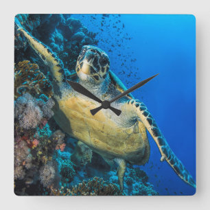 Horloge Carrée La Mer Rouge verte de la tortue de mer