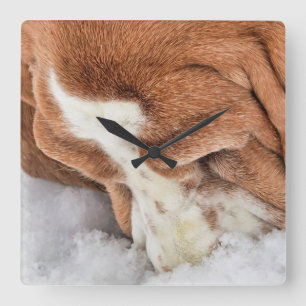 Horloge Carrée La Neige Sent Merveilleux Basset Hound
