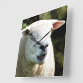 HORLOGE CARRÉE LA RAM (Angle)