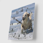 Horloge Carrée Labradodle - Izzy (Angle)