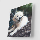 Horloge Carrée Labrador Puppy (Angle)