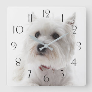 Horloge Carrée L'adorable Terrier de White West Highland