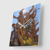 Horloge Carrée L'Arbre Sentinelle (Angle)