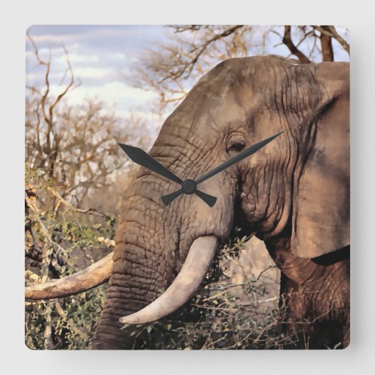 Horloge Carrée L'Art des Amateurs d'éléphants (Recto)