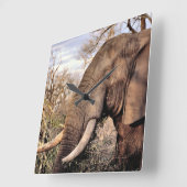 Horloge Carrée L'Art des Amateurs d'éléphants (Angle)