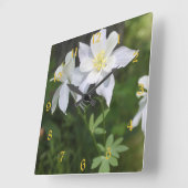 Horloge Carrée Le Colorado Columbine blanc numéroté (Angle)