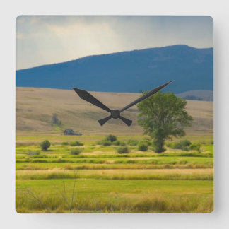 Horloge Carrée Le comté de Granite Montana