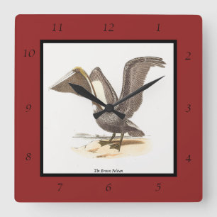 Horloge Carrée Le pélican Brown (Pelecanus occidentalis) NY Bird