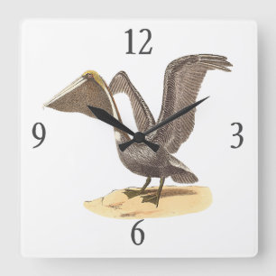 Horloge Carrée Le pélican Brown (Pelecanus occidentalis) NY Bird