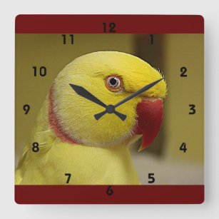 Horloge Carrée Le perroquet jaune vif de l'Indien Lutino Ringneck