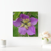 Horloge Carrée Le rose sauvage de F13 Alberta épineux s'est levé (Maison)