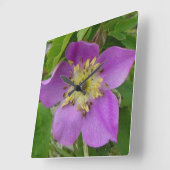 Horloge Carrée Le rose sauvage de F13 Alberta épineux s'est levé (Angle)