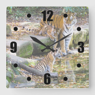 Horloge Carrée Leçons De Vie Mère Tigre Et Cubs