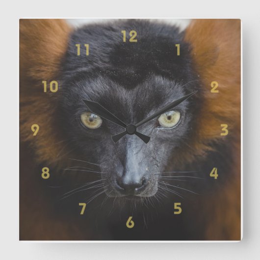 Horloge Carrée Lemur intense (Recto)