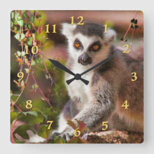 HORLOGE CARRÉE LEMUR LEISURE