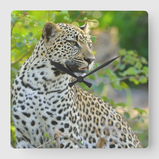 Horloge Carrée Leopard clock (Recto)