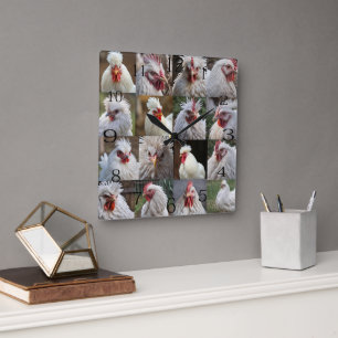 Horloge Carrée "Les plumes en vedette : un portrait de poulet bla