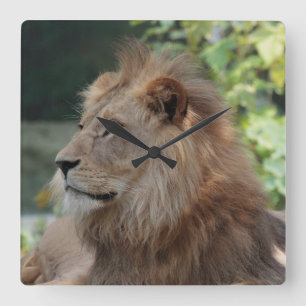 Horloge Carrée Lion 035
