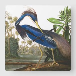 Horloge Carrée Louisiana Heron par John James Audubon