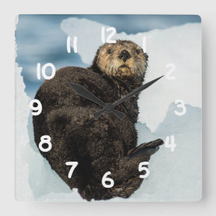 Horloge Carrée Loutre de mer