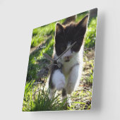 Horloge Carrée Love Is A Kitten Wall Clock (Angle)