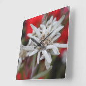 Horloge Carrée Lovely Edelweiss Leontopodium nivale (Angle)