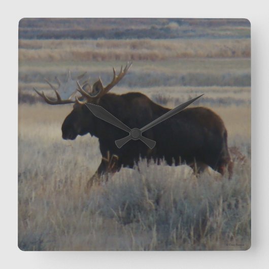 Horloge Carrée M2 Bull Moose (Recto)