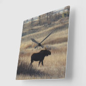 Horloge Carrée M5 Bull Moose (Angle)