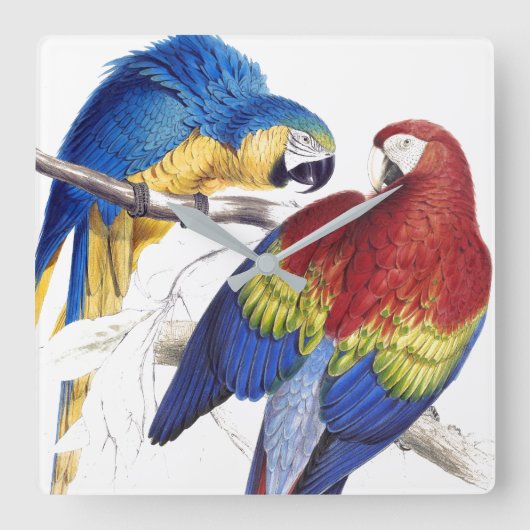 Horloge Carrée Macaw Parrot Birds Animals Wall Clock (Recto)