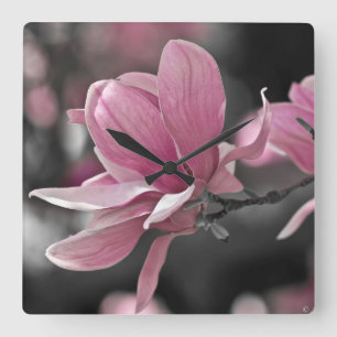 Horloge Carrée Magnolia japonaise à saucer rose
