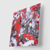 Horloge Carrée Mâle cardinal du nord, hiver, IL (Angle)