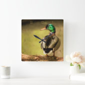 Horloge Carrée Mallard Duck (Maison)
