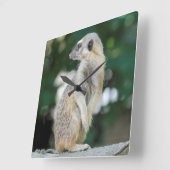Horloge Carrée Meerkat 025 (Angle)