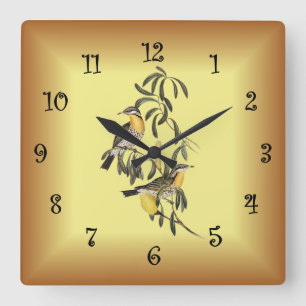 Horloge Carrée Miel-Mangeur à jouet épineux ~ Elizabeth Gould 06