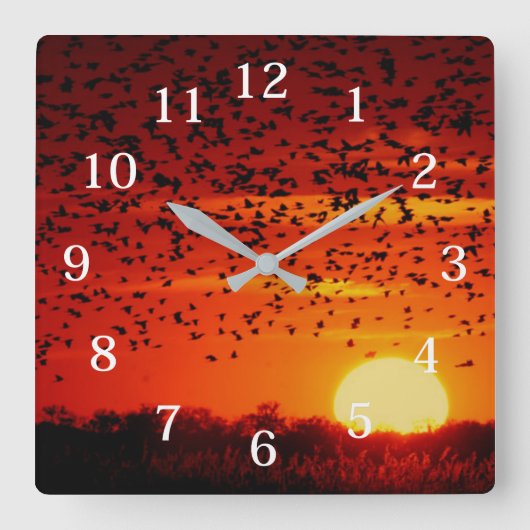 Horloge Carrée Migration des oiseaux noirs à Quivira (Recto)