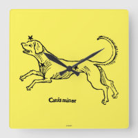 Mineur de Canis, 1482