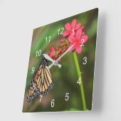 Horloge Carrée Monarque sur les fleurs de Penta (Angle)