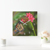 Horloge Carrée Monarque sur les fleurs de Penta (Maison)