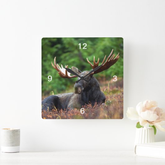 Horloge Carrée Moose (Maison)