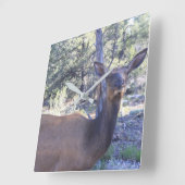 Horloge Carrée Moose clock (Angle)