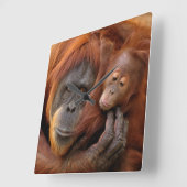 Horloge Carrée Mother & Baby Orangutan (Angle)